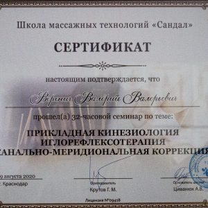 verenich-diplomy-i-sertifikaty-4